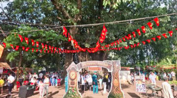 مهرجان Giồng Cây Da Khánh Bình للأغذية الرائع