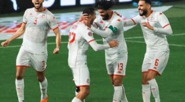موعد مباراة السويد ضد تونس والقناة الناقلة في كأس العالم 2026