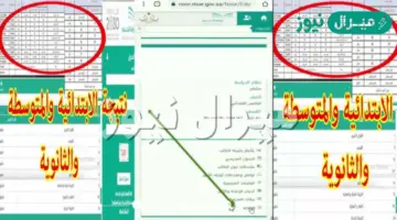نتائج نظام نور برقم الهوية والسجل المدني ورابط استعلام نتائج الطلاب بنظام نور Noor results