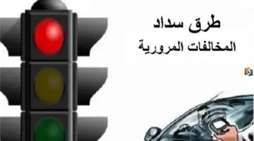 هل يمكن تسديد المخالفات المرورية إلكترونيا؟ المرور توضح طريقة سهلة عبر الإنترنت 1448