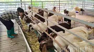 الاستفادة من المزايا وخلق زخم للتنمية الاقتصادية.