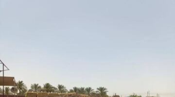 بالبلدي: جمعية أحمد عرابي سوق مواشي دون ترخيص يهدد المستثمرين بالهروب