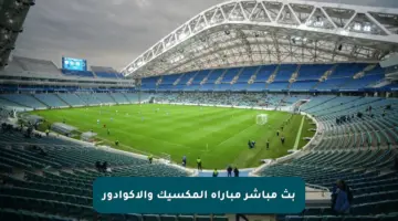 بث مباشر مباراة المكسيك والإكوادور