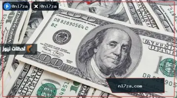 تراجع سعر الدولار أمام الجنيه المصري خلال الأسبوع الحالي