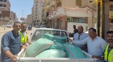 قبل وصوله إلى الأسواق.. ضبط نصف طن أرز مجهول المصدر بالأقصر